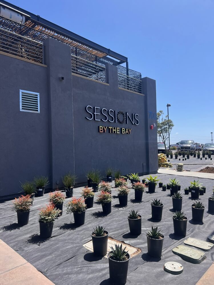 Sessions by the Bay Front
